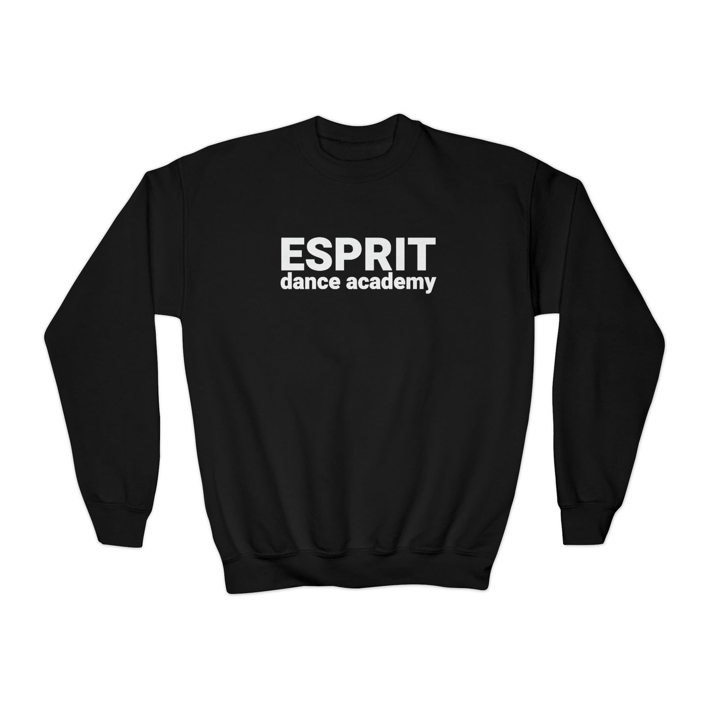 Esprit Dance Academy Youth Sweatshirt